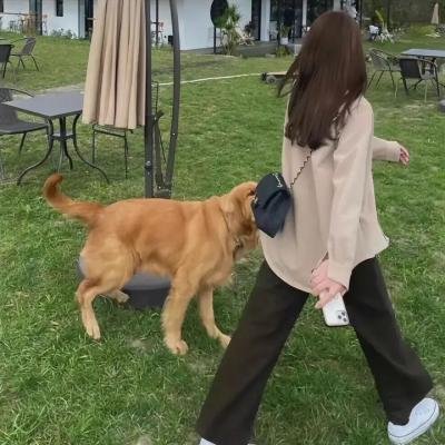 琴韵动我心